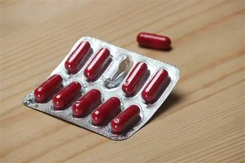 Červená antibiotická kapsle v blistrovém balení