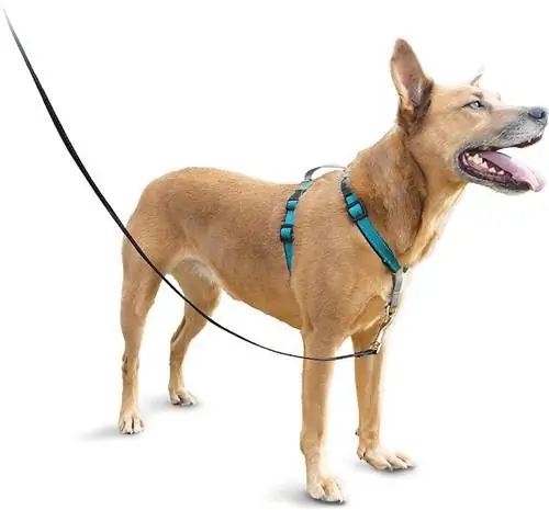 Harness anjing step-in PetSafe