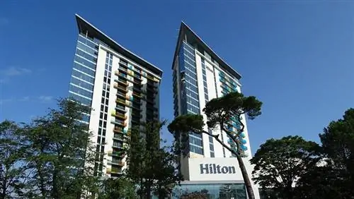 В отелях Hilton разрешено проживание с кошками? (обновление 2023 г.)