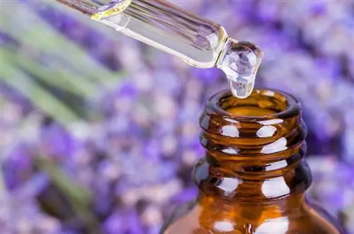 Aceite de lavanda. Aceite esencial