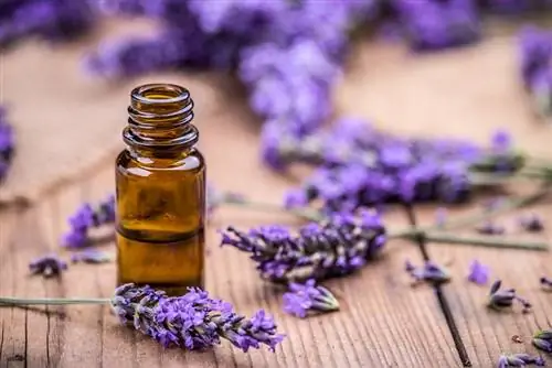 Aceite esencial de lavanda