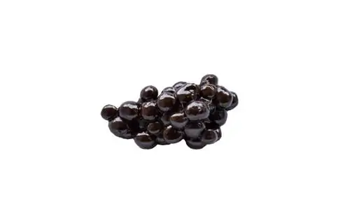 Luav poops - cecotrope pellets los yog caecal Isolated On Dawb Background nrog rau clipping path_KanphotoSS_Shutterstock