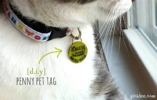 DIY penny pet tag