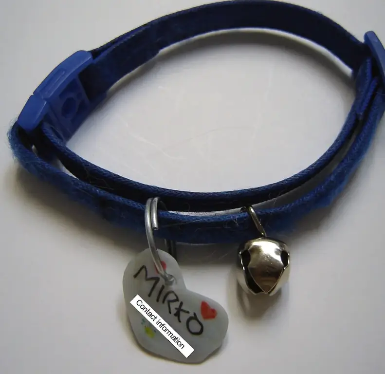 Médaille pour chien Instructables