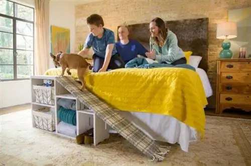 Rampa de cama para perros DIY con almacenamiento inteligente