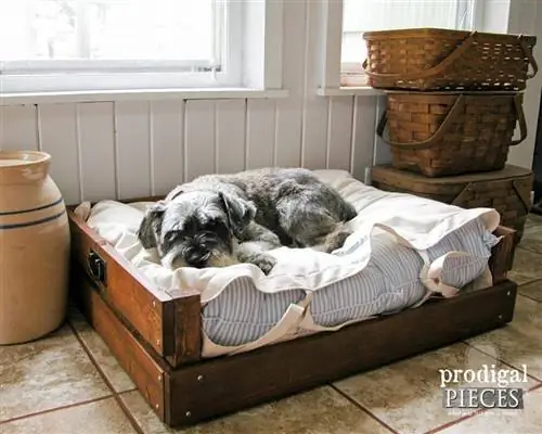 Cama de perro elevada de bricolaje