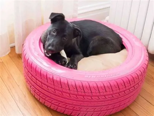 Cama de perro elevada de bricolaje