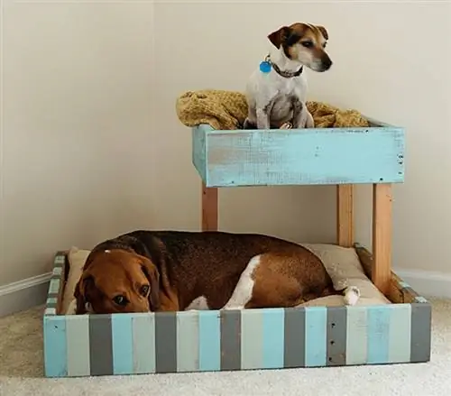 DIY erhöhtes Hundebett