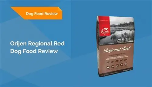 Orijen Regional Red Dog مراجعة طعام 2023: عمليات الاستدعاء والإيجابيات & سلبيات