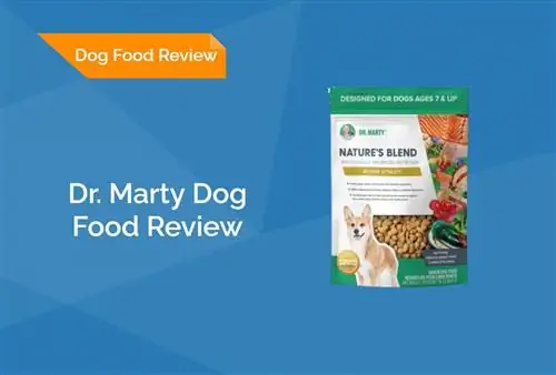 Dr. Marty Dog Food Review 2023: Återkallelser, fördelar & Nackdelar