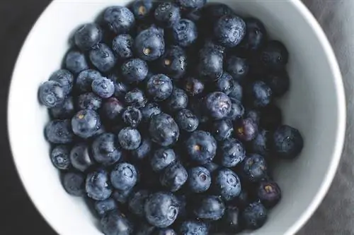 Blaubeeren