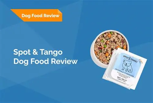 Spot & Tango Dog Food Review 2023: مزایا، معایب و حکم نهایی