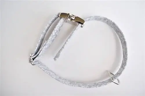 DIY Hundehalsband