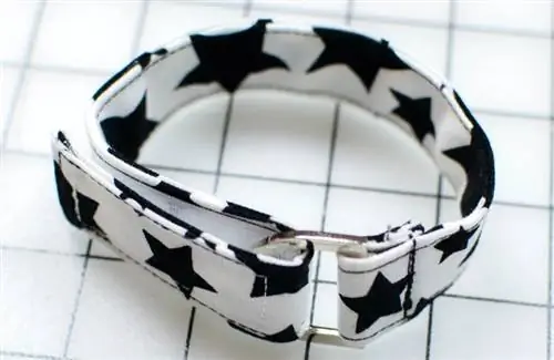 DIY hundhalsband