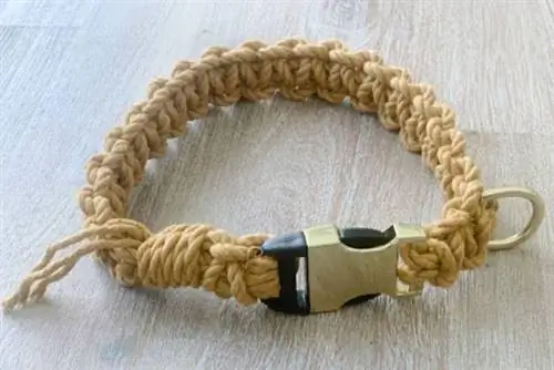 DIY Macrame Hundhalsband