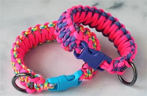 DIY PARACORD PSÍ LÍMEC