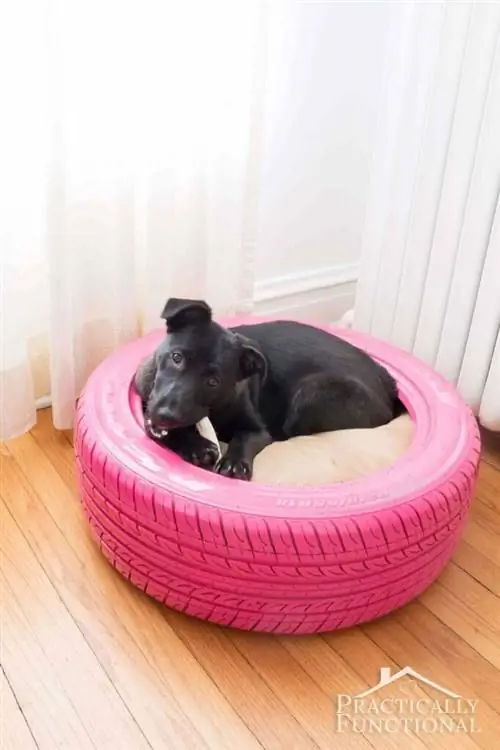 Tire Dog Bed by Practically Functional