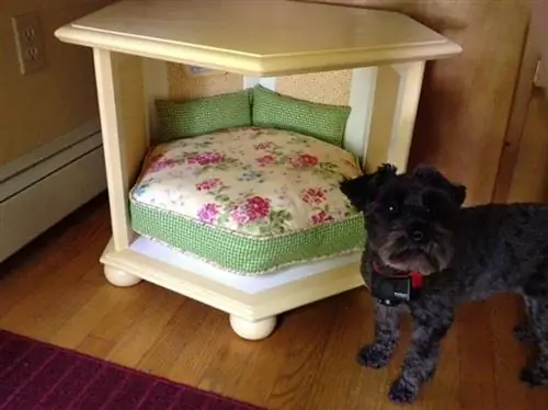 Repurposed End Table Bed της Laura Erickson