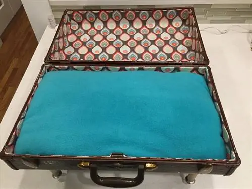 Vintage Suitcase Pet Bed من Pjkumpon on Instructables