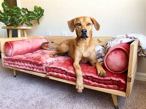 Chaise Dog Bed በThe Pretty Mutt