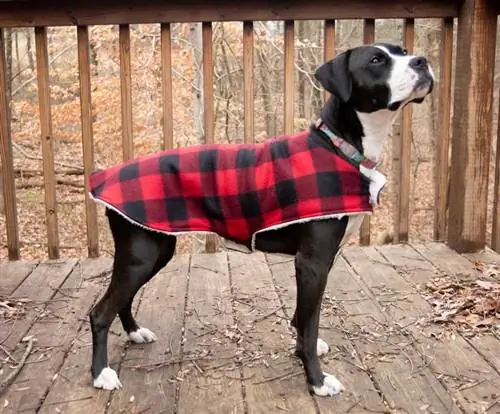 DIY dog coat