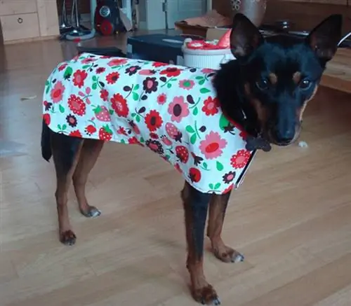 DIY Dog Coats