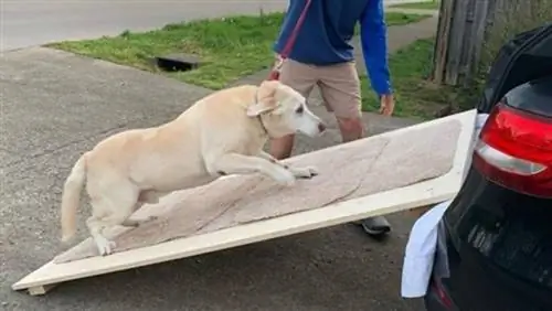 Plywood SUV Dog Ramp mula sa Alpha Paw