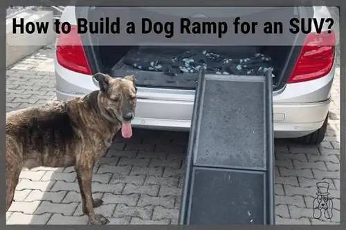 SirDoggieден оор жүк ташуучу DIY Dog Ramp