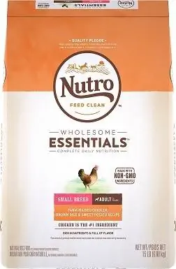 4Nutro Wholesome Essentials Väikest tõugu täiskasvanud farmis kasvatatud kana