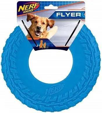 Chien nerveux 2864