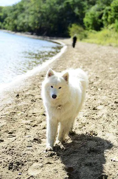 Minnehaha Off-Leash Dog Park