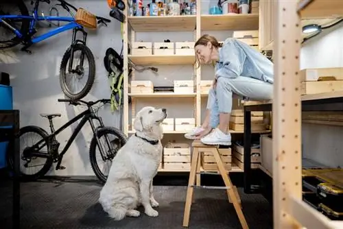 Kan jag lämna min hund i garaget när jag är på jobbet? Tips för att hålla din hund säker