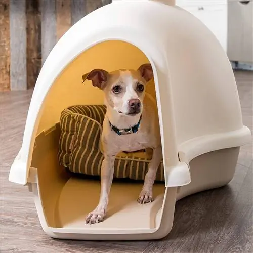 Igloo Shaped Dog House-IRIS-Amazon