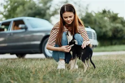 jong vrou speel met 'n dier met haar hond op die gras in die park buite