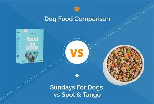 Sundays vs Spot & Tango Dog Food: 2023 การเปรียบเทียบ