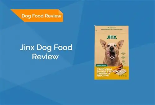 Jinx Dog Food Review 2023: rappels, avantages & inconvénients