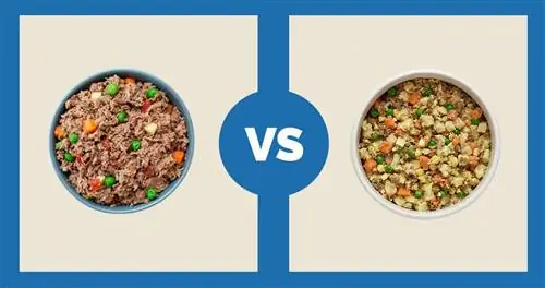 Nom Nom Dog Food vs Nom Nom Dog Food