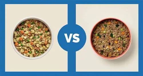 Nom Nom Beef Mash vs Ollie Fresh Beef Menjar per a gossos