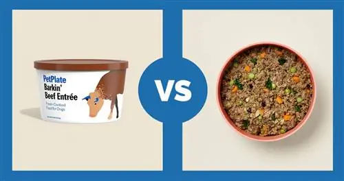 PetPlate Barkin’ Beef Entree vs Ollie Fresh Beef