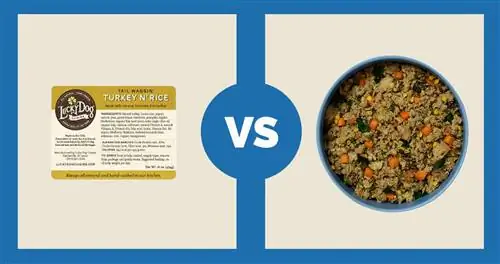 Lucky Dog Cuisine Turkey N' Rice vs Ollie Fresh Turkey