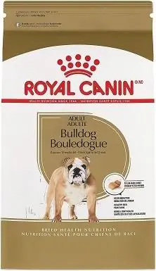 Dorosły buldog Royal Canin