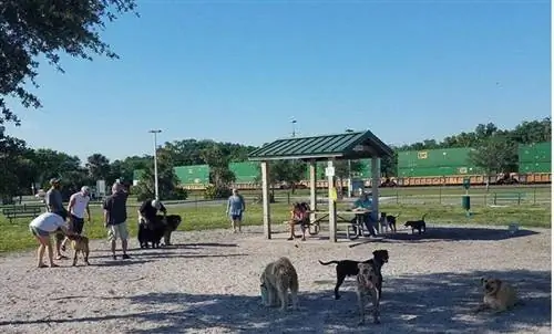 Parcul pentru câini din Brevard County Marina