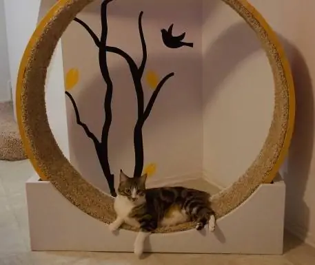 TT Build Cat Wheel Toy