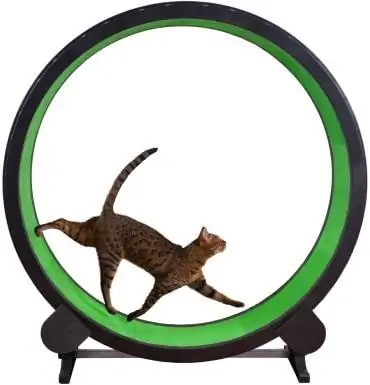 Una ruota per esercizi Fast Cat