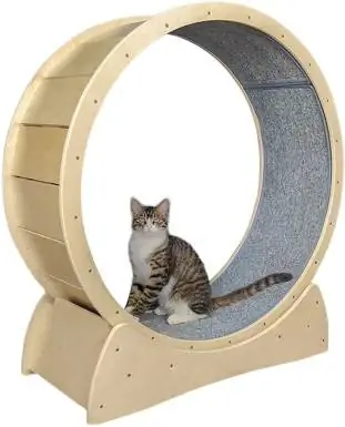 JOUDOO Cat Treadmill