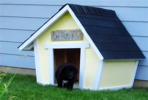 DIY Crooked Doghouse