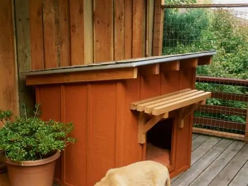 Rumah Ladang Mini DIY untuk Anjing Anda