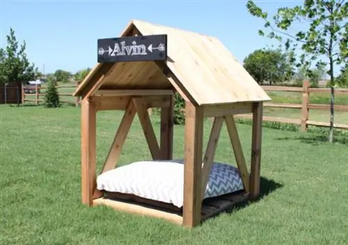 DIY Dog House