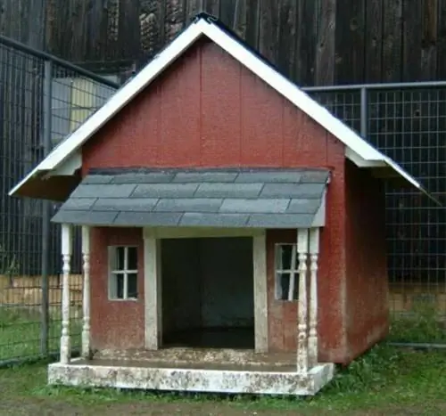 DIY Dog House