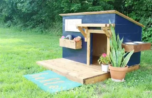 DIY Doghouse مع سطح السفينة